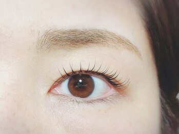 ネリネ(Nerine)/似合わせラッシュリフト