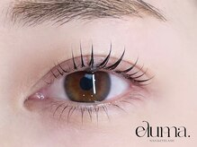 エルマ(eluma.)/まつ毛パーマ上下 