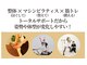 カミーノ(CAMINO)の写真