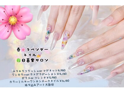 ラベンダー(Lavender)の写真