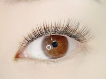 ステラ 浦和店(STELLA)/シングルフラットラッシュ140本