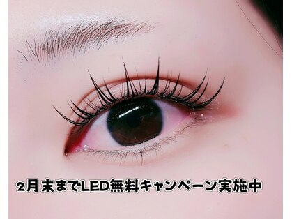 ルチア 高田馬場の写真