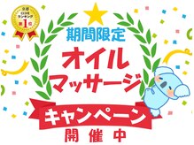 癒しのコアラ