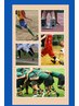 【学割U24】アスリート向けフレックスプラン月2回 ¥4,000(1回あたり¥2,000)