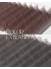 【8000円】目元の垢抜けはカラーエクステにおまかせ！選べる2色/120本