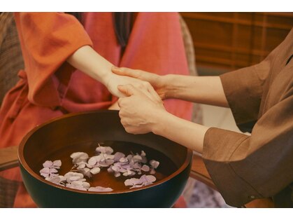 利休 かたがるの写真
