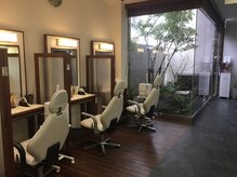 びゅうてぃしょっぷしばや/ライトエステコーナー