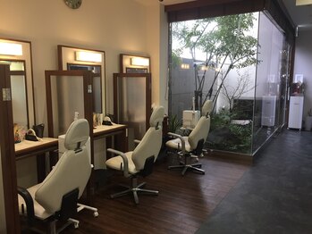 びゅうてぃしょっぷしばや/ライトエステコーナー