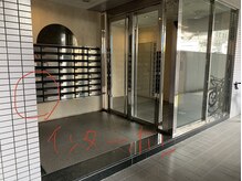 レティツィア(Laetitia)/