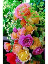 プチローズ/夏の疲れとお別れする贅沢時間♪