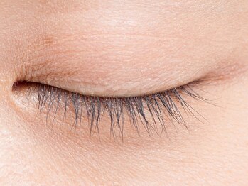 アイラッシュメイ(eyelash May)/0本