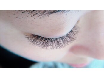 リーフ アイラッシュ(Lief EYELASH)/4Dボリュームラッシュ*120束