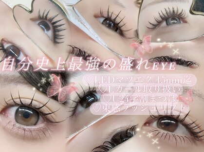 ラヴィア(Lavia)の写真