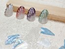 流行りの貝殻ネイルできます◯