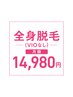 脱毛通いたい放題【全身VIOなし】