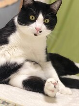 白澤リラクゼーション 花丸 先生