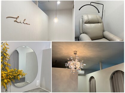 リラ(Lila)の写真