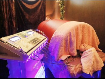 パセリ(PaSeRy)/【EMS】