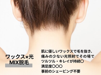 シェリラ(cherela)の写真