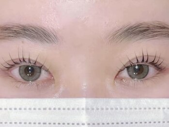 ラヴォール 京橋(Lovall)の写真/自まつげを活かしたナチュラルで上品な仕上がりに♪派手すぎず、でも印象的なお目元を演出いたします◎