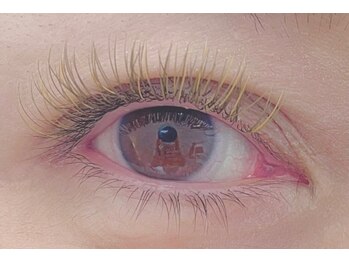 MBL バイ ルシュカ(MBL by LUSHCA)/フラットラッシュ☆彡