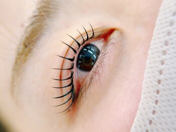 シークパナッシュ(Chic panache)/シンプリフィ