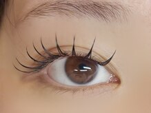 バタフライ 川崎店(Butterfly)/バインドロック80束