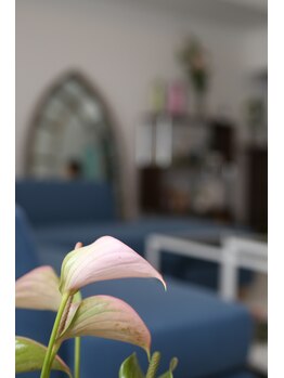 フェイシャルアンドボディ ジュネス 逗子/