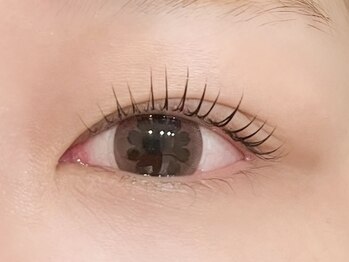 アイズ ラッシュブロウ(EYE'S lash_brows)/ラッシュリフト