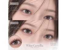 ホワイトカメリア 上本町店(White Camellia)の雰囲気（高技術で美しい仕上がりに！リピーター様多数！スピードも◎）