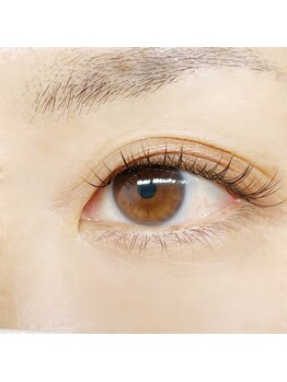 エオス(Eos)/フラットマットラッシュ100本