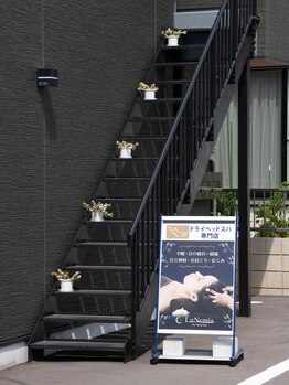 ルネミア(LuNemia)/階段横看板