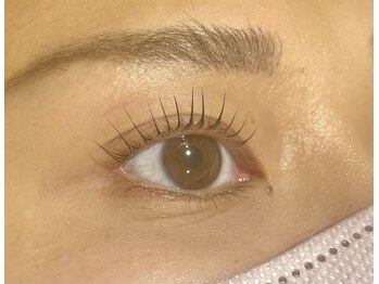 リシェル 町田(Richelle)/◇ラッシュリフトカール◇