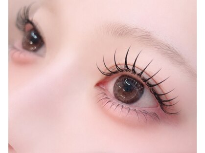 ミミリー(Mimily)の写真
