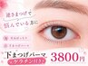 ★下まつげパーマのみ♪逆さまつげ対策♪+ケラチン¥3800