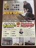 チラシが届いた方限定2980円クーポン