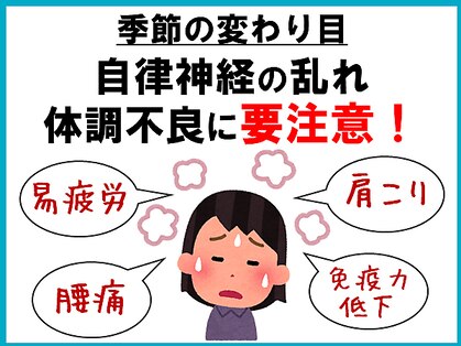 メロン(MELON)の写真