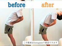 ねこのせなか/筋肉/関節/神経からアプローチ！