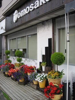 ともさか整体院/#鴻池新田肩こり#鴻池新田腰痛