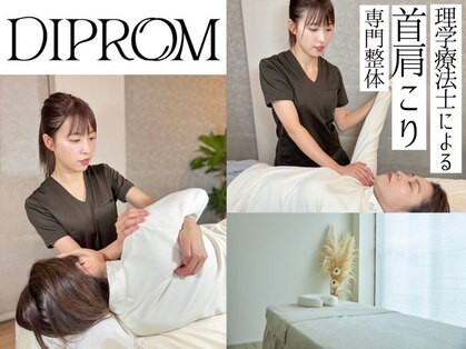 ディプロム(DIPROM)の写真