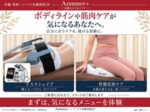 アンマープラス(Anmmer+)