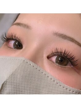 ルピナス(Lupinus)/ダブルフラットラッシュ