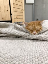 8(HACHI)&nbsp;りっちゃん 