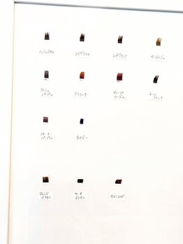 セッカ(secca)/大人★カラーも