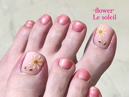 ル ソレイユ(Le soleil)の写真