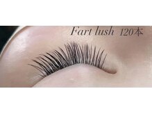 フランセス(Frances)/フラットラッシュ120本