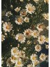 9限定クーポン★＆healthyフラットラッシュ【80本￥11000/100本￥11500】