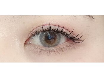 ペルシャ(Persian)/スタッフデザイン【若葉 】