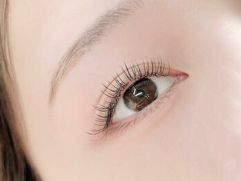 梛(ナギ)/フラットラッシュ 100本