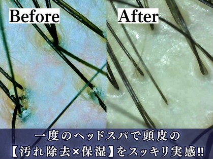 海ここちの写真